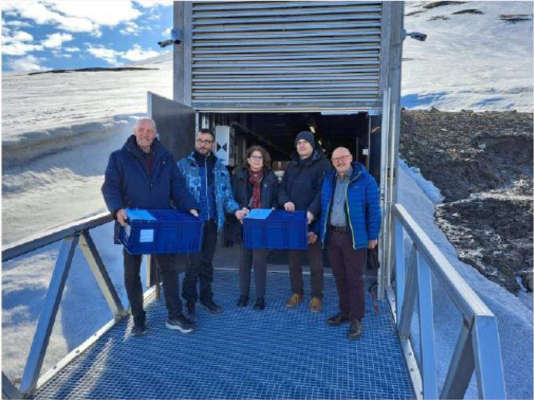 svalbard